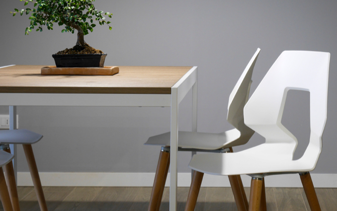 Modern chairs at a modern table with a decorative tree plant on top.